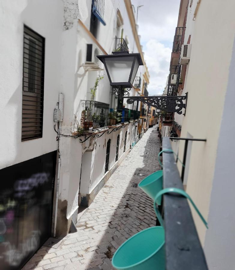 Lovely Center Apartments - Alameda Sunny Terrace Seville Luaran gambar